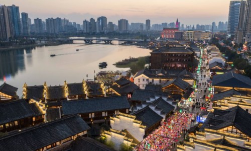 狗身上长癣用什么药好得快-狗身上蟆虫怎么治网—知名的狗身上长跳蚤用什么药网站,分享狗身上长癣怎么治疗最有效知识